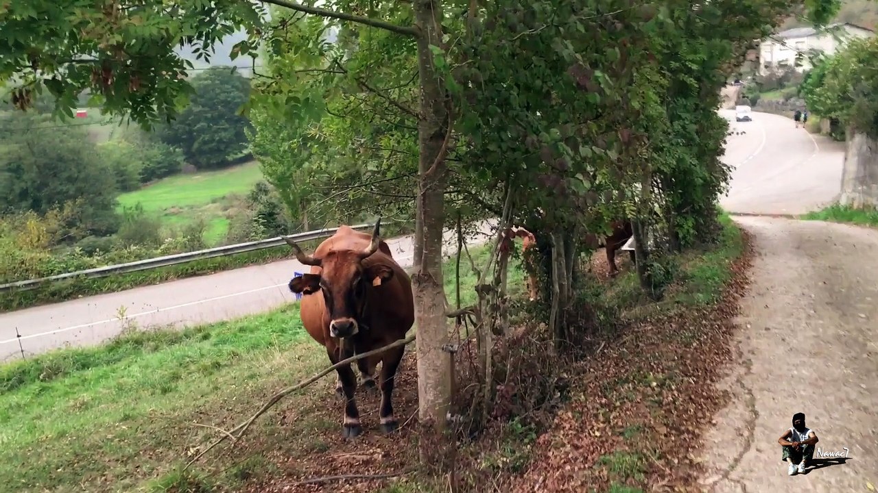 Étape 63 : Oviedo – San Juan De Villapañada / Camino Del Norte – Primitivo – Compostelle – 16 octobre 2017.
