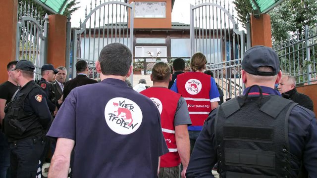 Albanie: onze animaux sauvés d'un zoo qualifié d' enfer