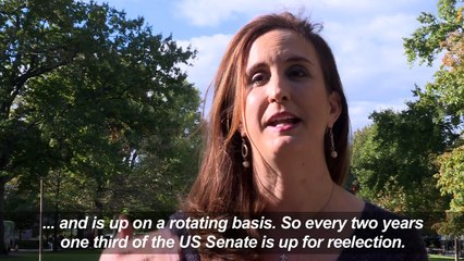 US Midterms 101: Going back to basics