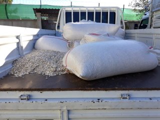 Çekirdek Parasını Ödemeyen Dolandırıcılara 'Çıtır' Operasyonu