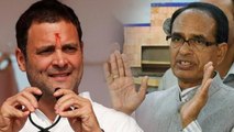 MP Election 2018:Rahul Gandhi की Vyapam Scam पर फिसली जुबान, Shivraj से मांगी माफी | वनइंडिया हिंदी