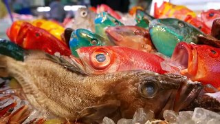 Japanese Street Food - GOLD SPOT WRASSE Sashimi Okinawa Seafood Japan