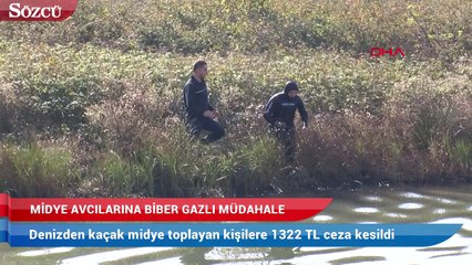 Denizden çıkmayan kaçak midye avcılarına biber gazlı müdahale