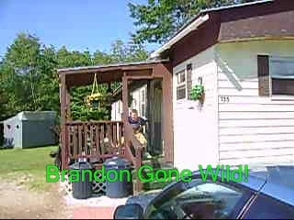 Brandon Gone Wild