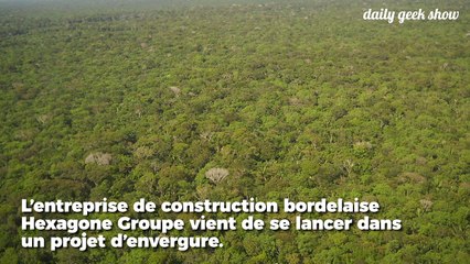 Plus elle construit, plus cette entreprise sauve la forêt amazonienne