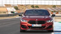 The new BMW 8 Series Coupe driving on the Racetrack