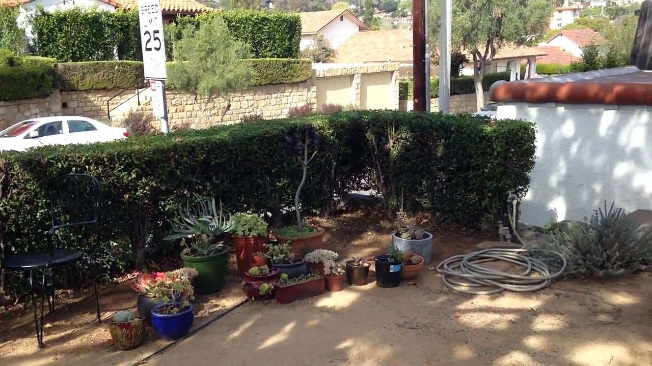 High Maintenance Landscape Contractors Montecito, CA