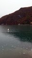 Les petits affluents du lac d'Annecy reprennent vie