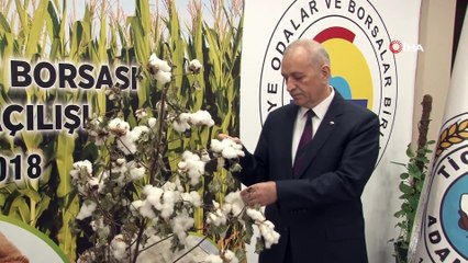 Adana’da 12 bin ton 'İyi Pamuk' üretildi