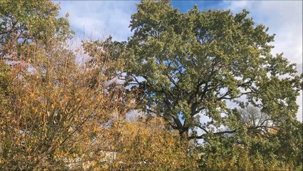 Hamburg - Teufelsbrück Oktober 2018 /Full Film/Ganzer Film/Complete Movie