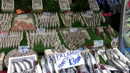 Kayseri'deki Balık Tezgahlarında Bol Çeşit