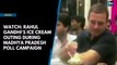 Watch: Rahul Gandhi's ice cream outing during Madhya Pradesh poll campaign