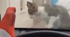 Kediyle Oyun Oynarken Arabasının Camını Çatlattı