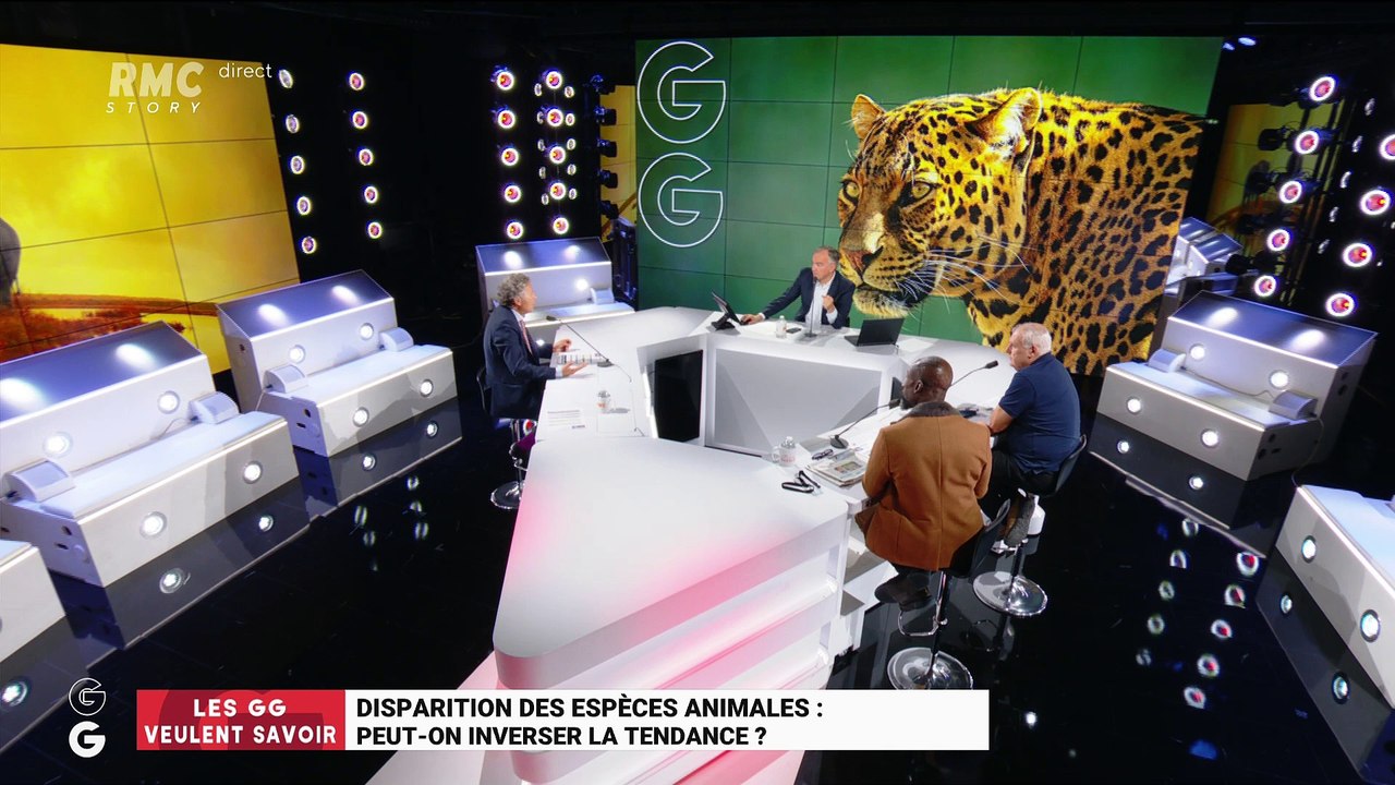 Les GG veulent savoir : Disparition des espèces animales, peut-on inverser la tendance ? - 30/10