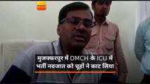 मुजफ्फरपुर: डीएमसीएच के ICU में भर्ती नवजात के हाथ-पैर की अंगुलियां खा गए चूहे, दर्दनाक मौत