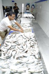 ധര്‍മജന്റെ ധർമൂസ് ഫിഷ് ഹബ് വൻ  വിജയം | FilmiBeat Malayalam