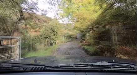 Drive Along Green Lane!