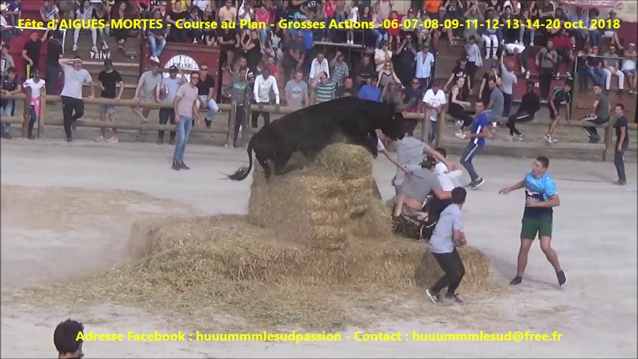 Fête AIGUES-MORTES-Course au Plan-Grosses Actions-6-7-8-9-11-12-13-14-20 oct. 2018
