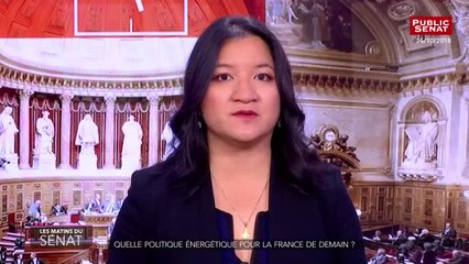 Débat sur la scolarisation des enfants en situation de handicap - Les matins du Sénat (30/10/2018)
