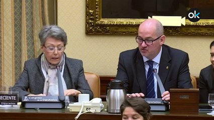 Comparecencia de Rosa María Mateo