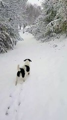 A Cinquétral, dans le haut Jura, la neige recouvre tout