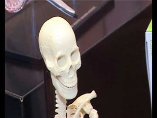 Clubit check out the Revell Stand at the London Toy Fair 2011