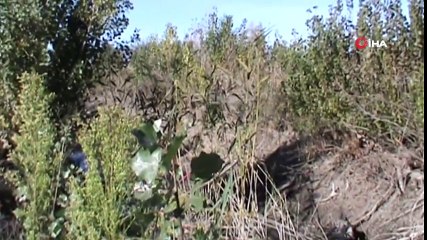 Konya Seygişehir'de Trafik Kazası: 2 Ölü, 1 Yaralı