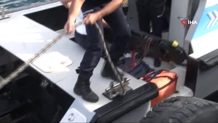 Fatih Sultan Mehmet Köprüsü'nden Atlayan Taksici, Hayatını Kaybetti