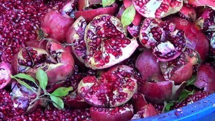 'Gastronomi kenti'nde nar ekşisi mesaisi başladı - GAZİANTEP