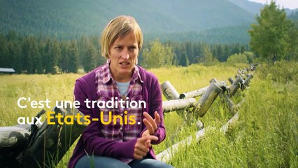 Bigfoot, mini-Trump, chien candidat... On a compilé les clips de campagne les plus farfelus des "midterms"