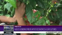 México: nuevo gobierno prevé apoyo a caficultores