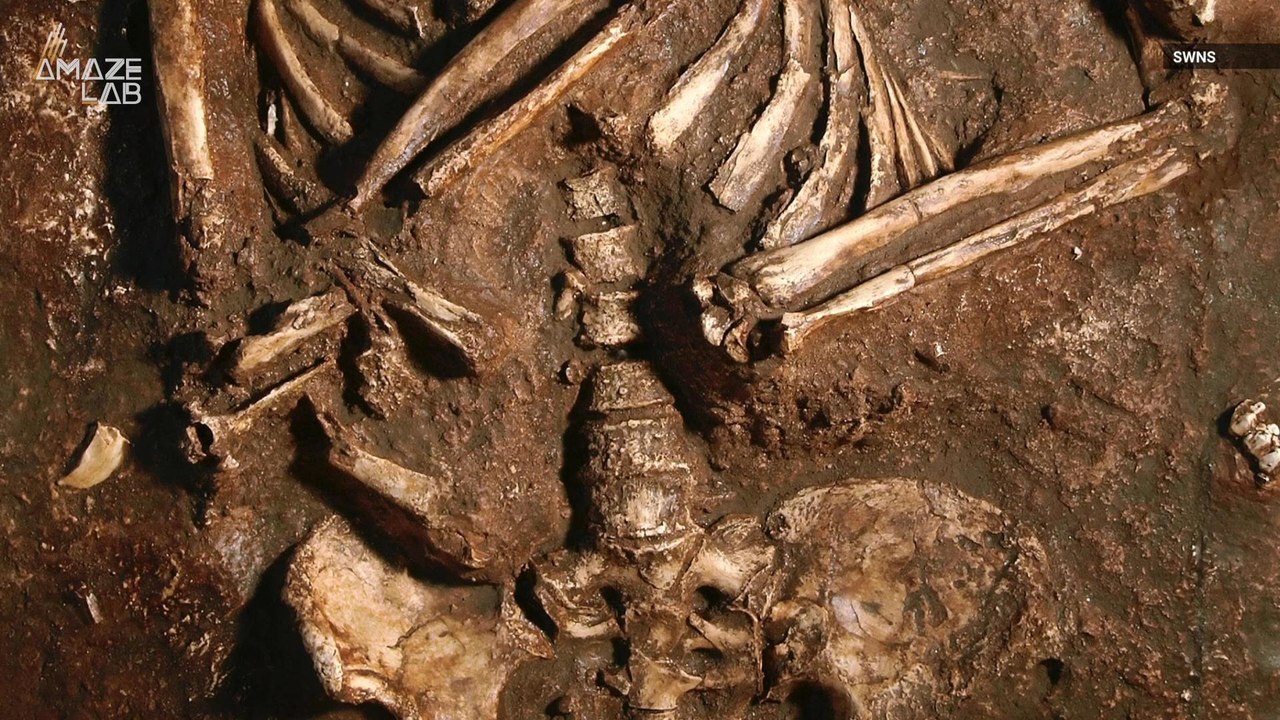Turns Out Neanderthals Stood Up Straighter Than Us And Could Walk Farther