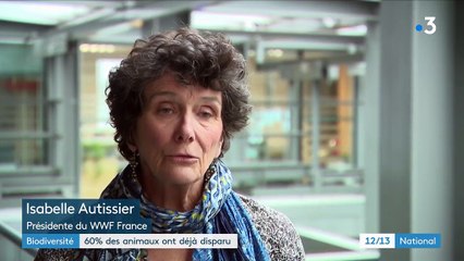 Biodiversité : 60% des animaux ont déjà disparu