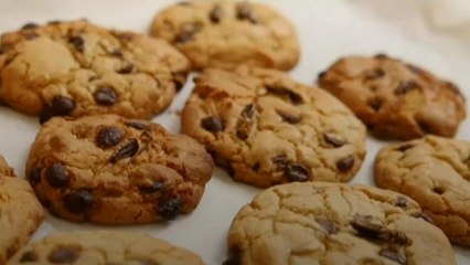 Biscotti con grilli, larve e formiche nel menù di una scuola australiana