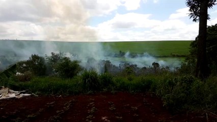 Bombeiros combatem incêndio em vegetação