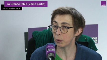 Stéphane Horel : "La manufacture du doute, ce sont des stratégies de manipulation de la science pour créer des controverses artificielles"