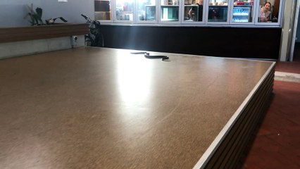 Brown Snake Removed from University Classroom