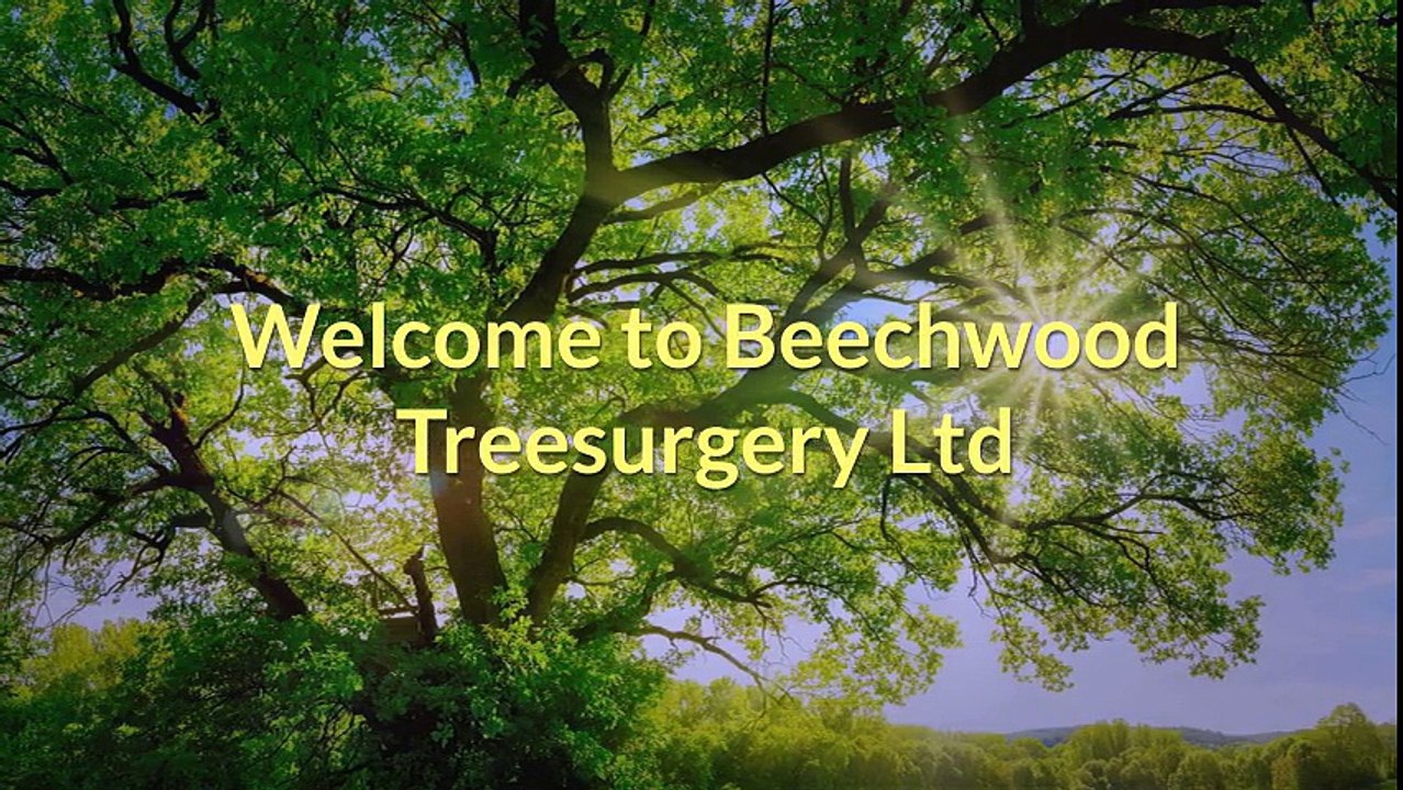 Branch Removal Craigavon