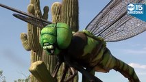 New exhibit: 21 animatronic bugs on display at Phoenix Zoo - ABC15 Things To Do