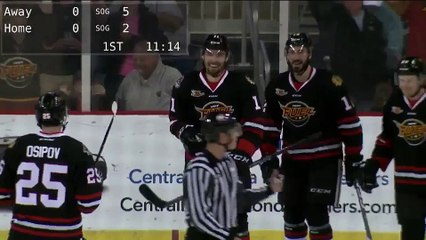 ECHL Idaho Steelheads 5 at Indy Fuel 3