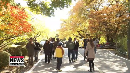 Video herunterladen: Developing countries look to South Korea as a role model in sustainable forestry management and rehabilitation