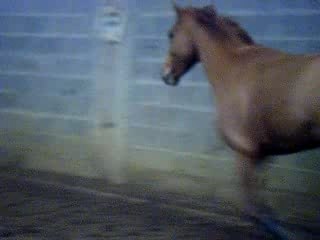 Opaline saut liberté 3