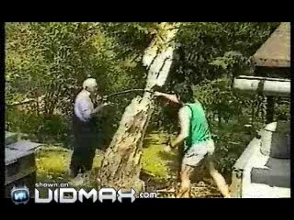 bucheron professionel ??????