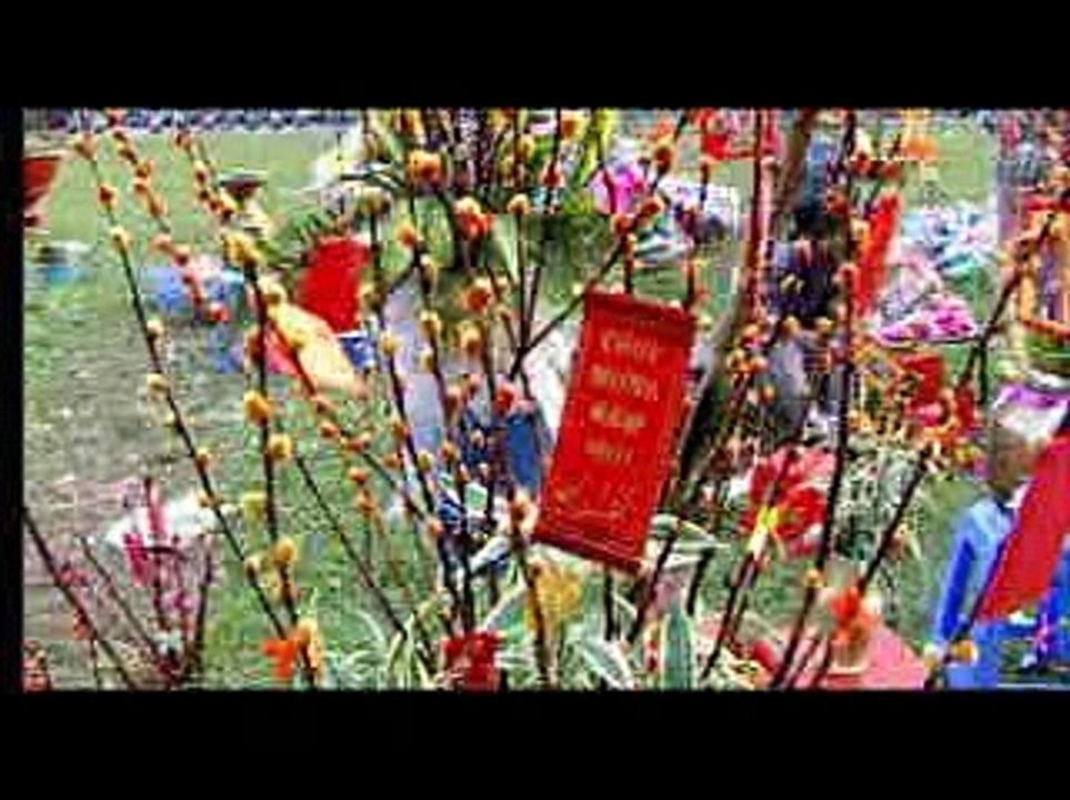 liên khúc đón xuân - cẩm ly