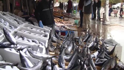 Palamudu Sezonunda Bol Bol Tüketin"