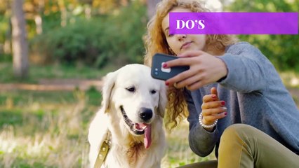 Moving With Pets: The Do’s And Don’ts