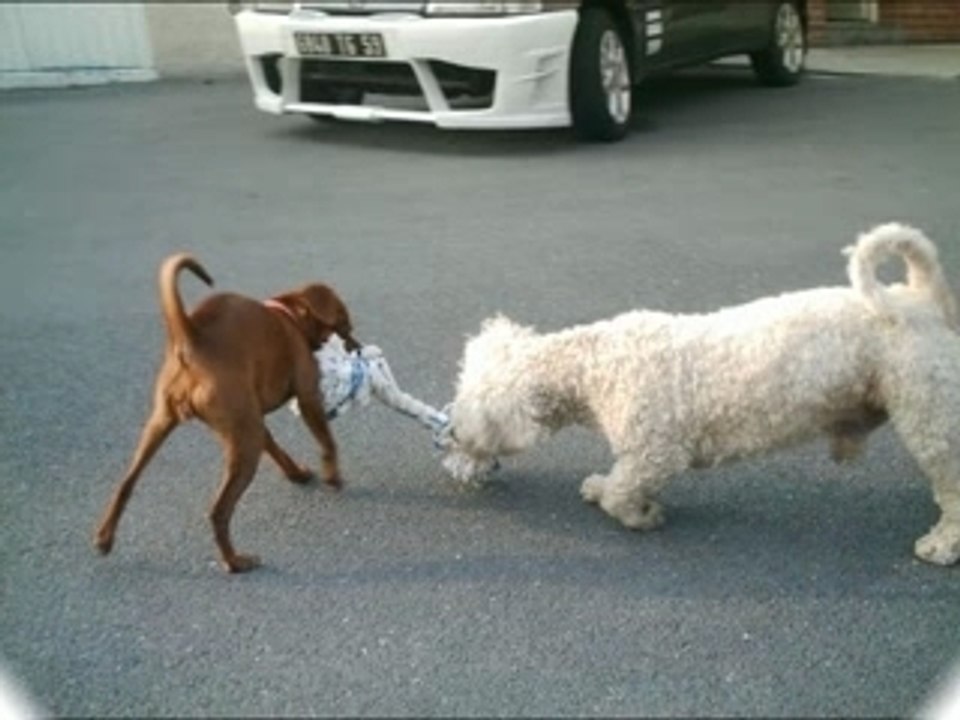 Snoopy mon bébé 1_0001