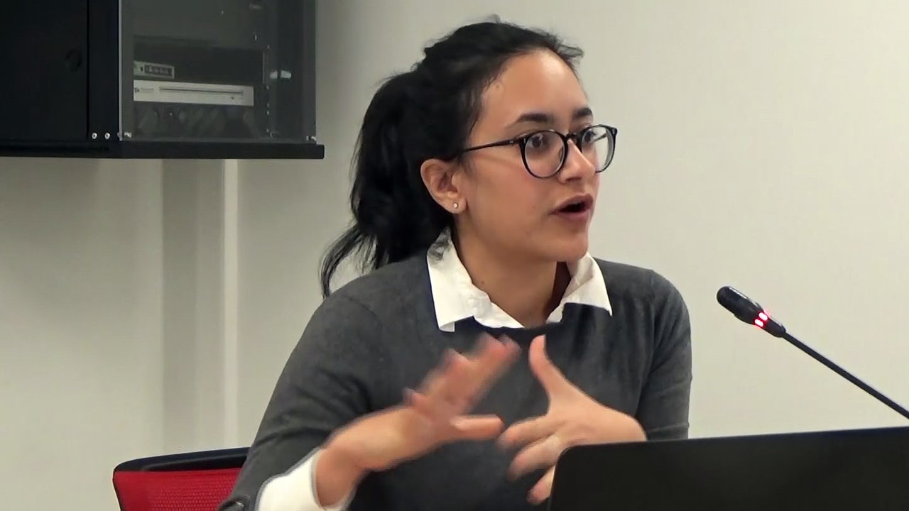 Elena De Nictolis, Université de Rome