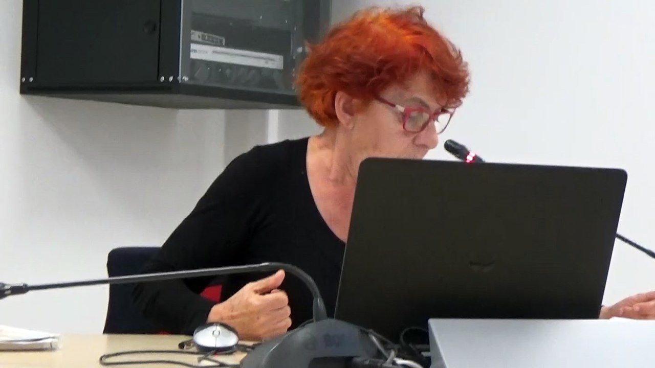 Gilda Farrell, Conseil de l'Europe, Grand témoin