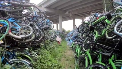 中 공유 자전거, 애물단지 전락...'자전거 무덤' 속출 / YTN